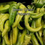 Sweet Green Peppers